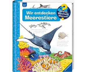 Andrea Erne Ann Wieso? Weshalb? Warum?, Band 27: Wir entdecken Me (Spiral Bound)
