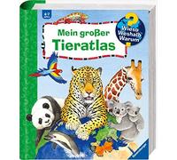 Andrea Erne Anne Ebe Wieso? Weshalb? Warum?: Mein großer Tieratl (Spiral Bound)