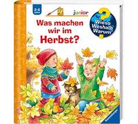 Andrea Erne Sus Wieso? Weshalb? Warum? junior, Band 61: Was machen wi (Hardback)