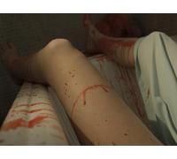 Andrea Illona Budach's Disappearance