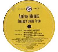 Andrea Mendez - Fantasy Come True [12" VINYL]
