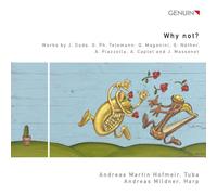 Andreas Martin Hofmeir - Why Not?
