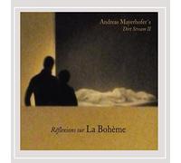 Andreas Mayerhofer Dirt Stream 2 - Reflexions Sur la Bohme
