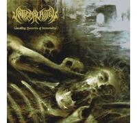 Andreas Yiasoumi - VATICINAL RITES - Cascading Memories Of Immortality LP (black Vinyl) [Vinyl LP]