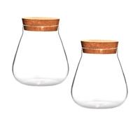 ANDRESLAD 2pcs Small Glass Bottles Cork Stoppers, Micro Landscape Ecological Jars for Plant Hydroponics and Moss Decoration, Decorative Storage Canisters for Home Use