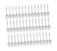 ANDRESLAD 50pcs Parrot Feeding Spoon Pet Feeding Scoops Cosplay Bodysuit Bird Spoon Parrot Bird Tools Pet Hand Chick Food Scoop Stainless Steel Silver