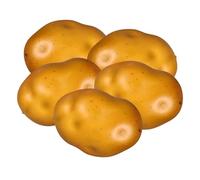 ANDRESLAD 5pcs Realistic Foam Potatoes Model Lightweight Artificial Potato Ornaments for Home Decor Kitchen Simulation Photography Teaching