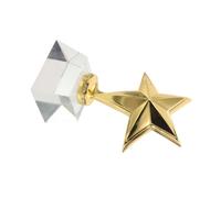 ANDRESLAD Crystal Trophy Award for Youth Competitions Metal and Crystal Participation Award Cup with Star Design Portable Recognition Prize for Classroom Sports Events Talent Shows and