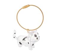 ANDRESLAD Pet Hair Keepsake Cat Hair Keepsake Holder Souvenir Keychain Cute Kawaii Keychains Cat Memorial Storage Transparent Abs