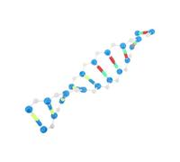 ANDRESLAD Portable Dna Double Helix Model Kit for Classroom Easy Assembly Scientific Molecular Structure Educational Tool for Biology Genes Learning and Teaching
