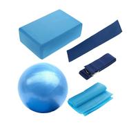 ANDRESLAD Professional Yoga Ball Set for Home Workouts Pilates and Core Strengthening Includes Exercise Balls and Bricks for Posture Balance and Muscle Conditioning