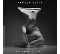 Andrew Bayer - Andrew Bayer - In My Last Life [VINYL]