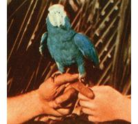 Andrew Bird Are You Serious (CD) Album (US IMPORT)