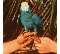 Andrew Bird - Are You Serious