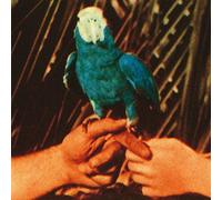 Andrew Bird - Are You Serious [VINYL]