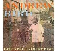 Andrew Bird - Break It Yourself