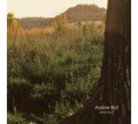 Andrew Bird - Noble Beast