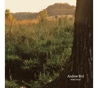Andrew Bird - Noble Beast [VINYL]
