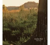 Andrew Bird - Noble Beast [VINYL]