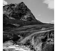 Andrew Bird : Outside Problems CD (2023) NEW FREE Shipping, Save £s