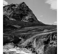 Andrew Bird – Outside Problems – CD – 2023