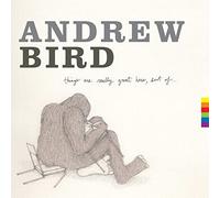 Andrew Bird - Things Are Really Great Here, Sort Of... [VINYL]