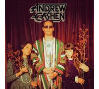 Andrew Cashen : The Cosmic Silence VINYL 12" Album (2022) NEW Great Value