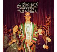Andrew Cashen - The Cosmic Silence [VINYL]