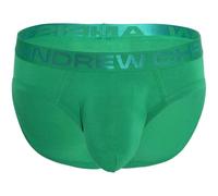 Andrew Christian Underwear, Trophy Boy Bamboo Brief, Kelly Green, Men's Size L, Pack of 1
