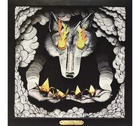 Andrew Cohen & Light Coma - Unreality [VINYL]