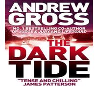 Andrew Gross The Dark Tide Paperback Book Andrew Gross Multicolor
