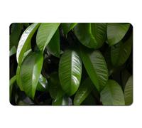 Andrew Lee Closeup Of Beautiful Glossy Green Leaves (Placemat) / Default Title