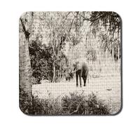 Andrew Lee Elephant Jungle (Coaster) / Default Title