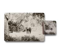 Andrew Lee Elephant Jungle (Placemat & Coaster Set) / Default Title