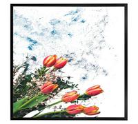 Andrew Lee Flowers On Marble (Picutre Frame) / 16X16" / White