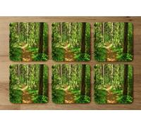 Andrew Lee Forest Trail Scene. Woodland Path (Coaster) / Default Title