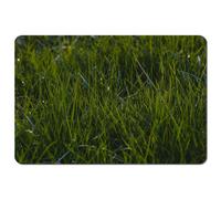 Andrew Lee Fresh Green Grass Background, Natural Grass (Placemat) / Default Title