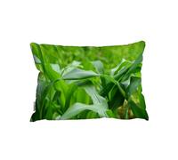 Andrew Lee Green Leaves Corn Fields As Background (Cushion) / 30Cm X 45Cm