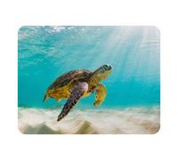Andrew Lee Photo Of Sea Turtle In The Galapagos Island (Blanket) / Default Title