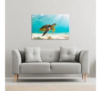 Andrew Lee Photo Of Sea Turtle In The Galapagos Island (Canvas Print) / 46 X 31 X 4Cm