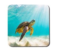 Andrew Lee Photo Of Sea Turtle In The Galapagos Island (Coaster) / Default Title