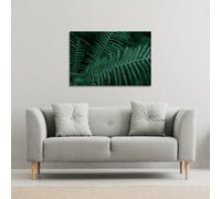 Andrew Lee Plants Background. Biophilia Trend (Canvas Print) / 101 X 77 X 4Cm
