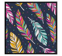 Andrew Lee Retro Colour Feathers (Picutre Frame) / 24X24" / Oak