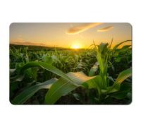 Andrew Lee Young Green Corn Growing On The Field At Sunset (Placemat) (Placemat) / Default Title