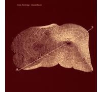 Andrew Partridge and - Through the Hill