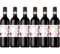 Andrew Peace Australian Shiraz (6 x 750ml - 11%)