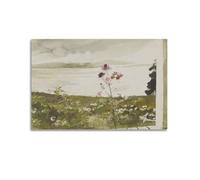 Andrew Wyeth Painter's Work《Cosmos》Posters Wall Art Canvas Aesthetic Music And Movie Decoration Living Room Bedroom 12x18inch(30x45cm) Unframe-style