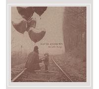Andrews, David - Little Things