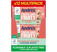 Andrex Fresh and Fruity Hygiene Wipes, 12 Packs, Flushable Toilet