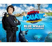 Andy and the Glass Frog